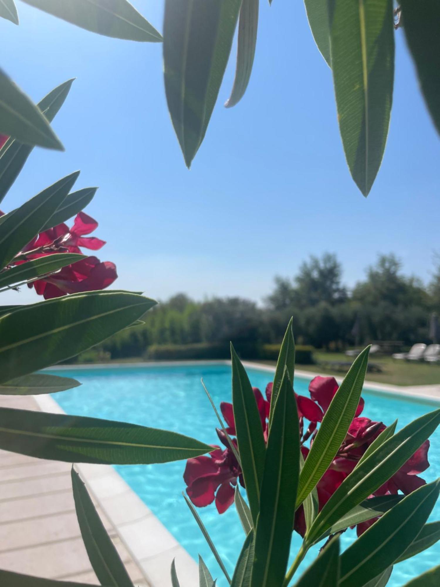 Agriturismo Antica Dimora Del Turco سونا المظهر الخارجي الصورة
